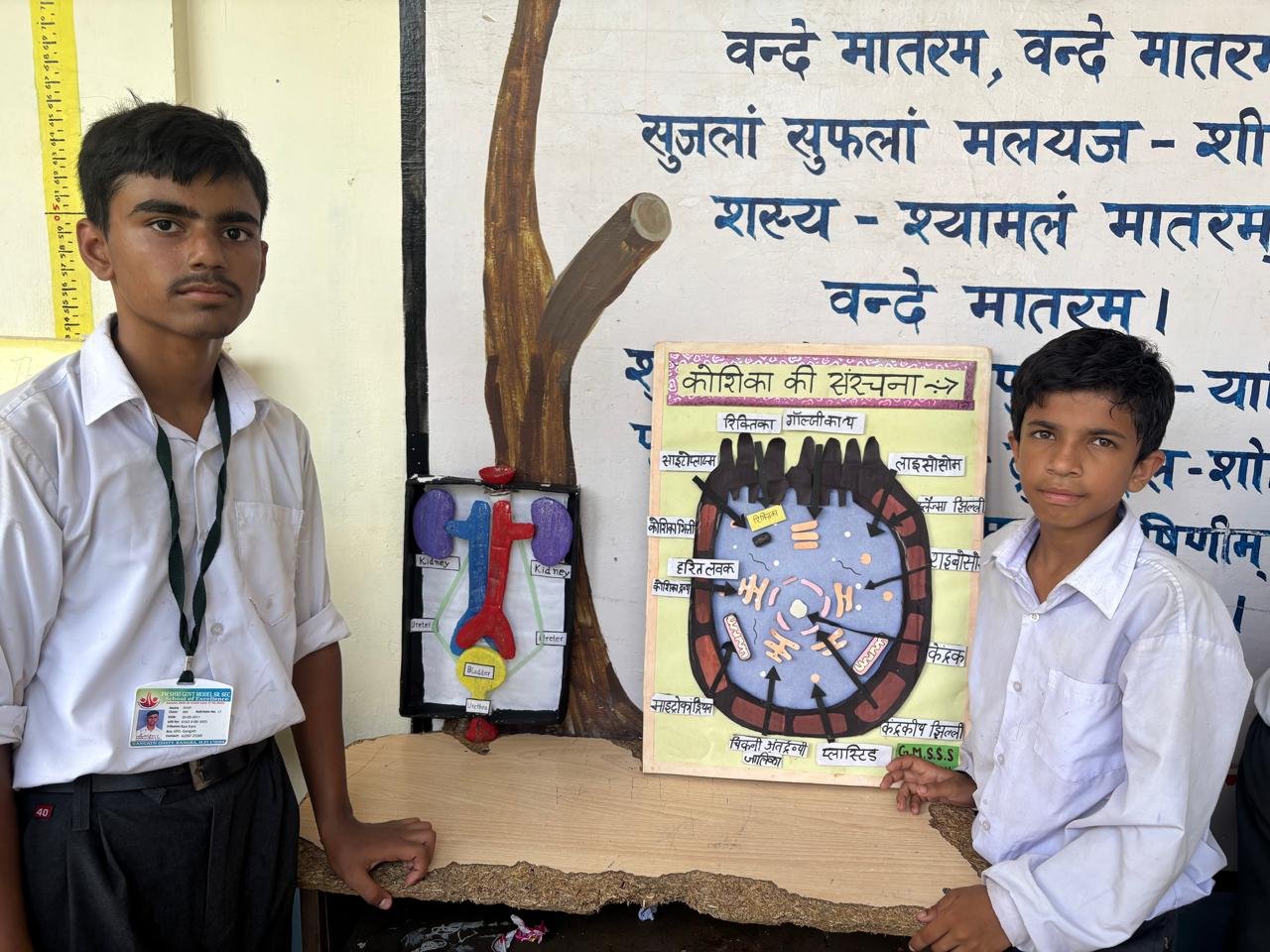 Health awareness activity